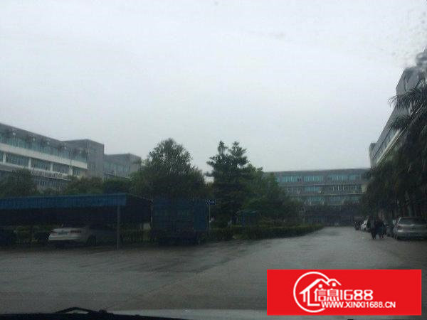 坪山大工业区楼上1680平招租有红本可申请补贴