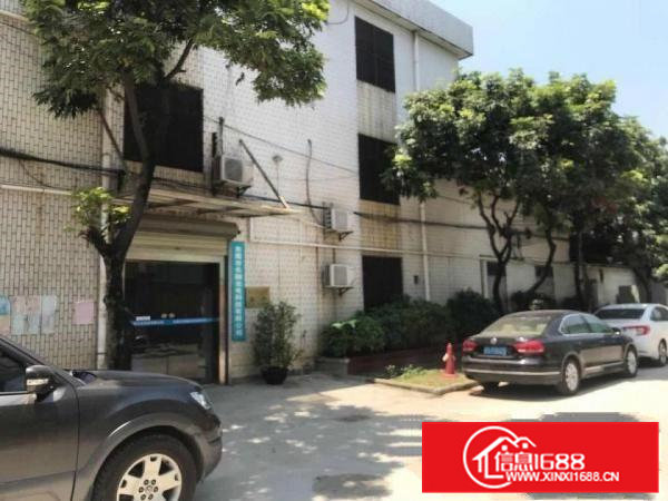 寮步新出原房东一楼750方出租