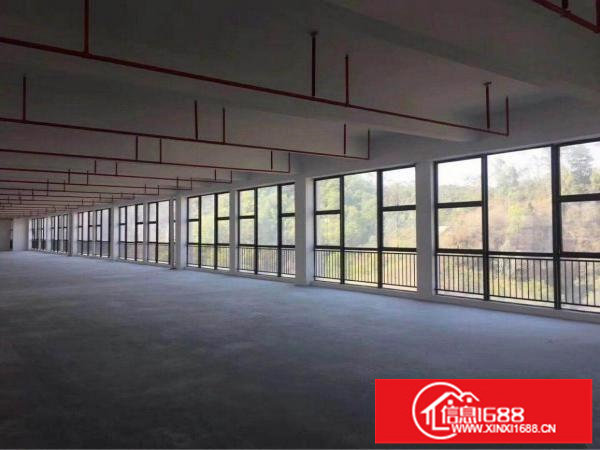 一手房东26000平独门独院厂房招租