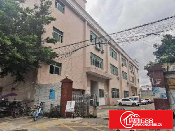 松岗朗下独院厂房分租一二三楼2000平方