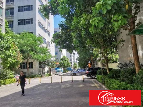 布吉上李朗水官高速出口主干道边原房东一楼1000平方厂房出租