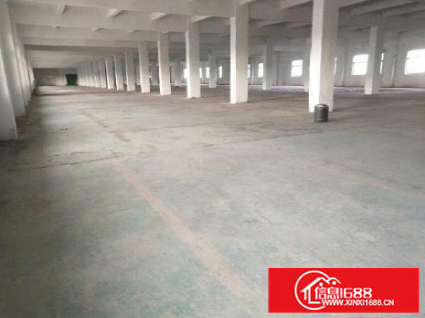 中介勿扰！清溪清凤路标准厂房出租，二楼双电梯