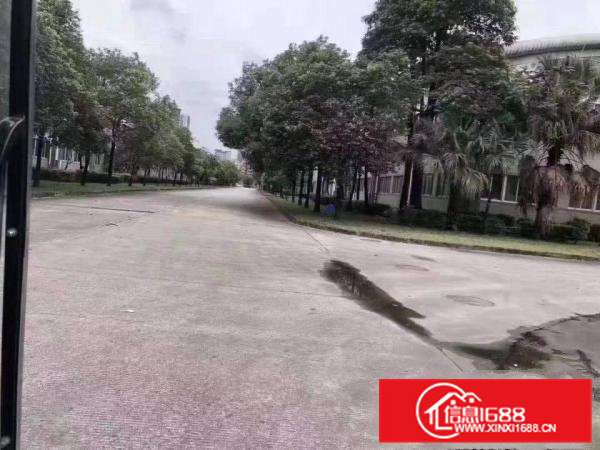 原房东重工业单一层独院厂房