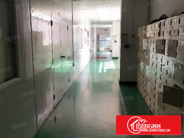 西乡大道新出工业区无尘厂房精装修8成使用率价格好谈!