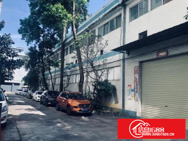 本园区2栋钢构厂房，一栋标准厂房