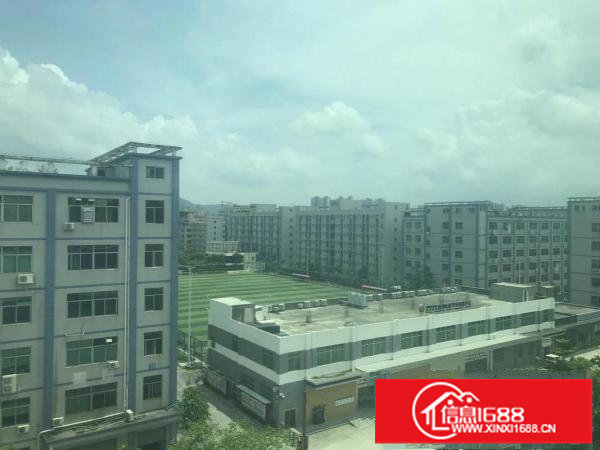 坂田一楼800平，楼上1500平，适合电商物流，电子加工！