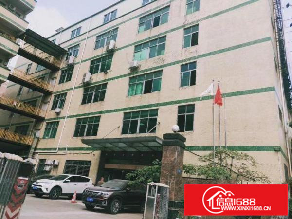 大岭山杨屋一楼厂房招租行业不限大小可分租