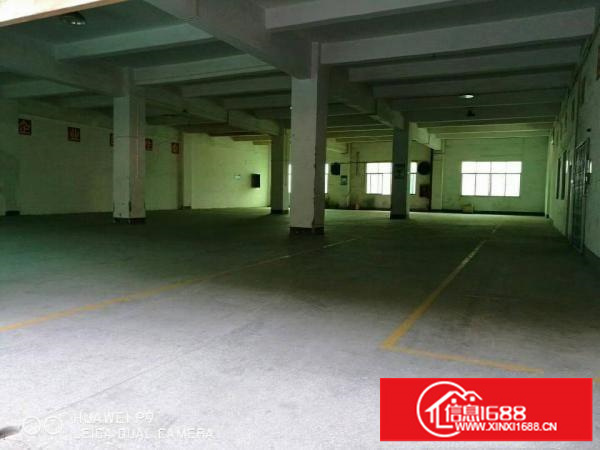 龙岗坪地标准一楼厂房500平方米（房东直租）