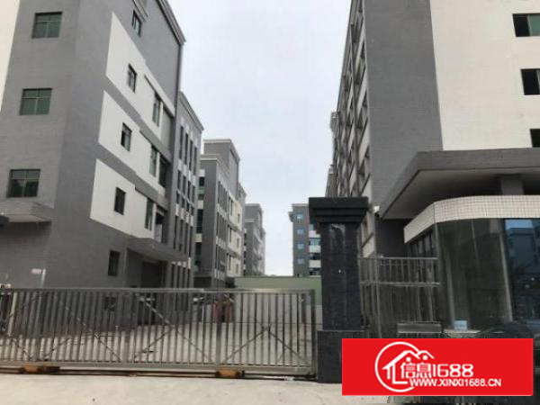 石排原房东好厂房无任何公摊