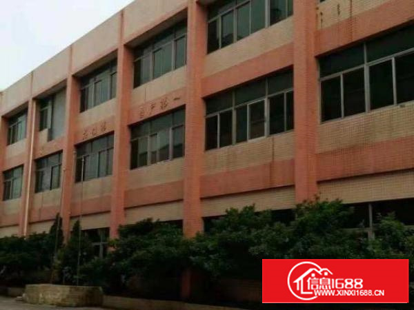 万江现新搬空工业区大小厂房仓600/800/平方