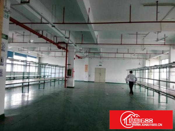 坂田地铁口高新科技园2楼3楼每层2000平方招租