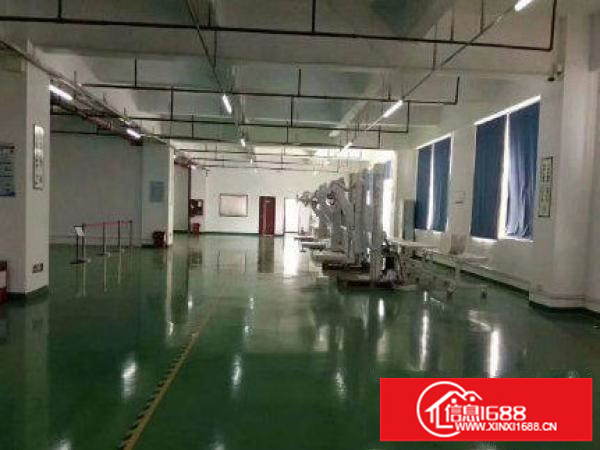 沙头角楼上500平厂房仓库出租，大小可分