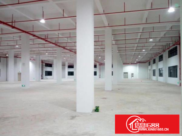 惠州惠阳秋长主干道边钢构滴水8米3000平厂房招租