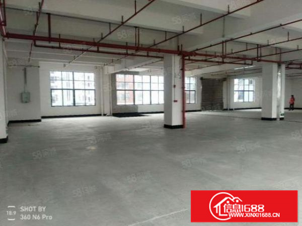 大良3001000方楼层式厂房，租金13元方，有办公室。