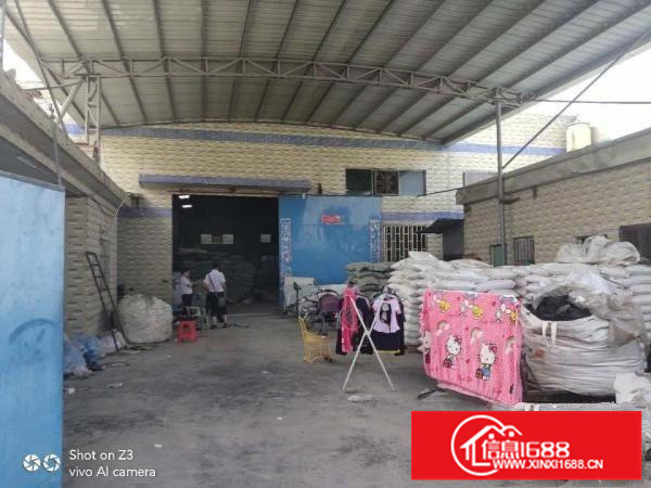 新墟约场靠近深圳独院一楼厂房1200平米