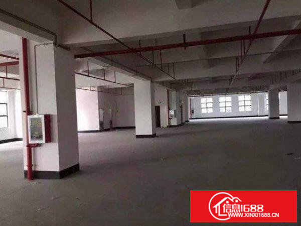 常平还珠沥现有一楼500平米厂房出租设施齐全