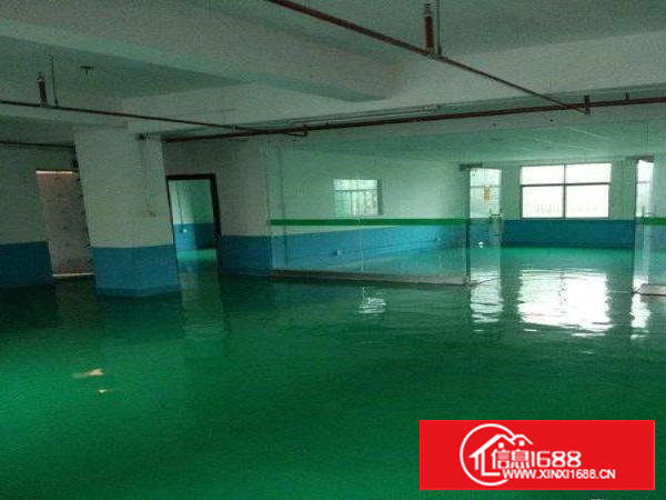 电子客户福音精装修2/3楼各1300平一公里到深圳