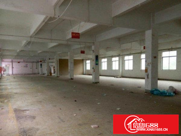 布吉长龙550平方小型厂房低，价招租