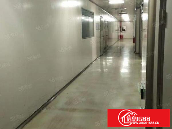 坪山大工业区独栋厂房四层2万平米带无尘车间厂房出租分租