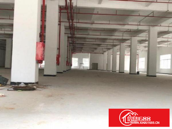 凤岗镇楼上全新厂房分租1000到2000