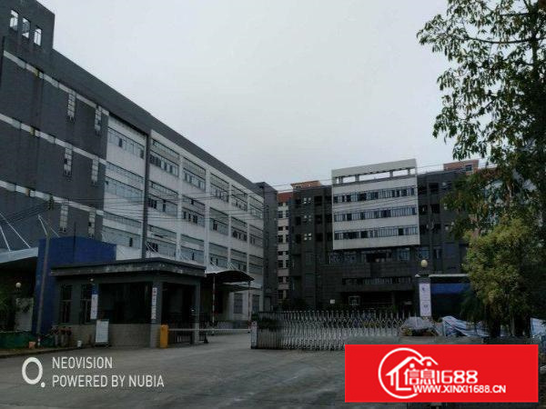 一手业主新出2500方独门独院厂房出租带办公空地大交通方便