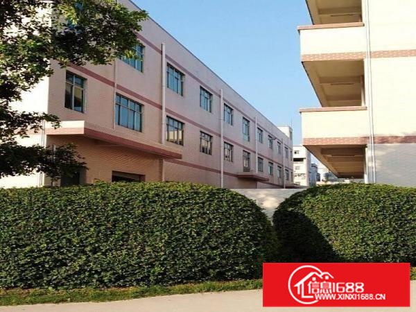 沥林镇工业园区800平方标准厂房出租