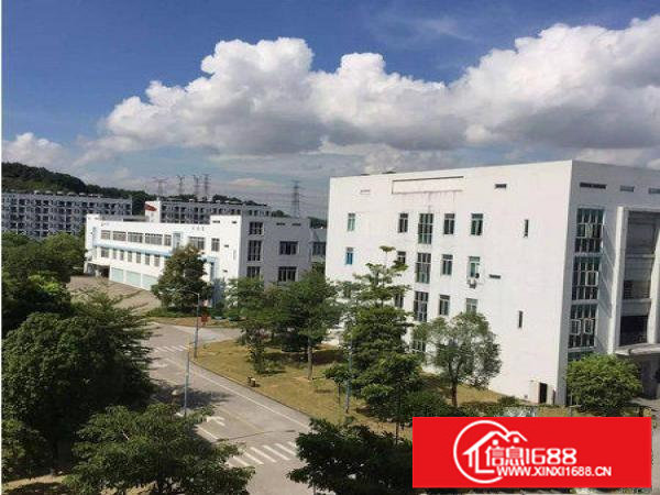 坂田五和大道花园式红本厂房7000平可分租