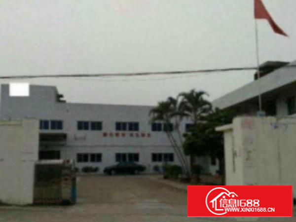 高埗独院单一层钢结构厂房1500平方米;适合五金现成的水电线