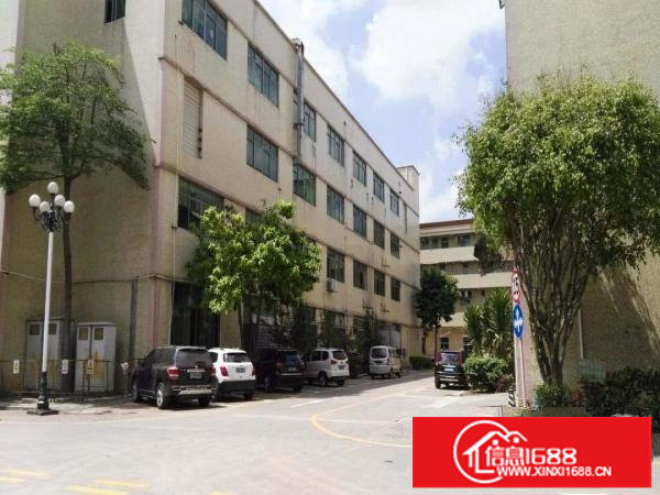 龙岗大道边独院厂房5600平米出租