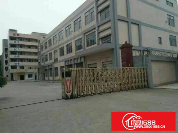 龙城新出原房东二楼带装修厂房1600平招租