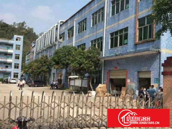 龙岗五联技师学院附近3500平米厂房出租，有电梯带现成环评