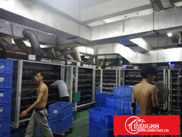 观澜库坑大型工业园楼上厂房880平米出租只要19元