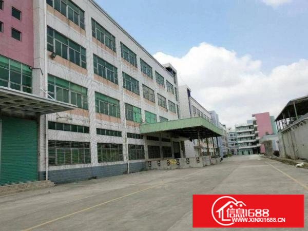 坪山新出大型独院厂房6w平方出租，有红本，空地大