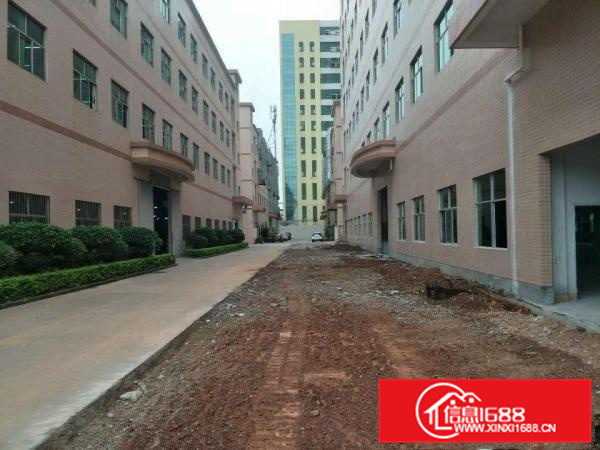 惠阳秋长白石工业区新出原房东独栋厂房12600平