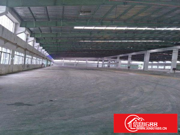 惠州惠阳新出滴水10米高钢构3500平厂房出租