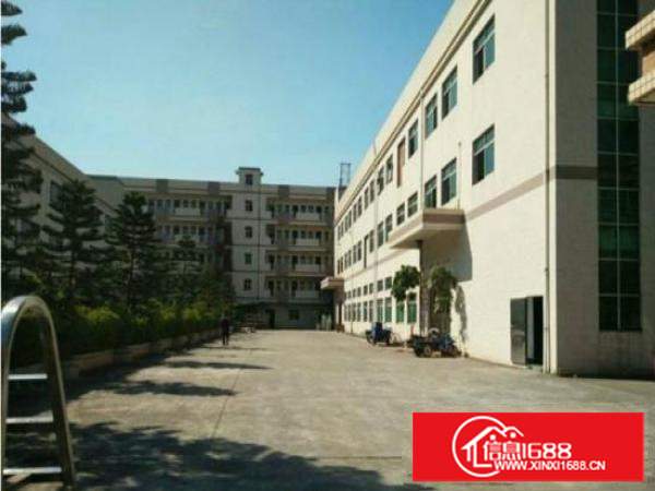 塘厦四村新出标准1楼500,带精装修有牛角,租17