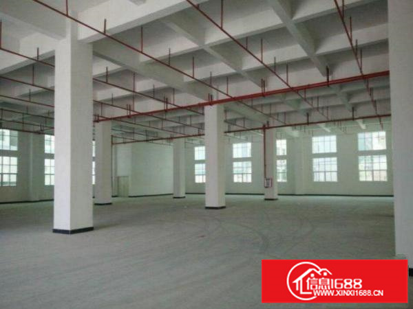 出租龙岗区南联一楼新厂房900平米