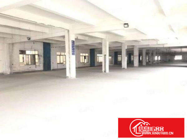 清溪新出一层2600平厂房，为长条形，适合各个非重污染行业