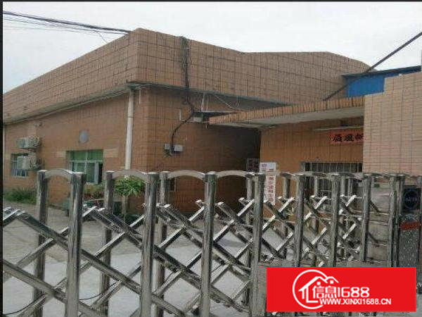 常平九江水新出原房东单一层厂房1900平，租金便