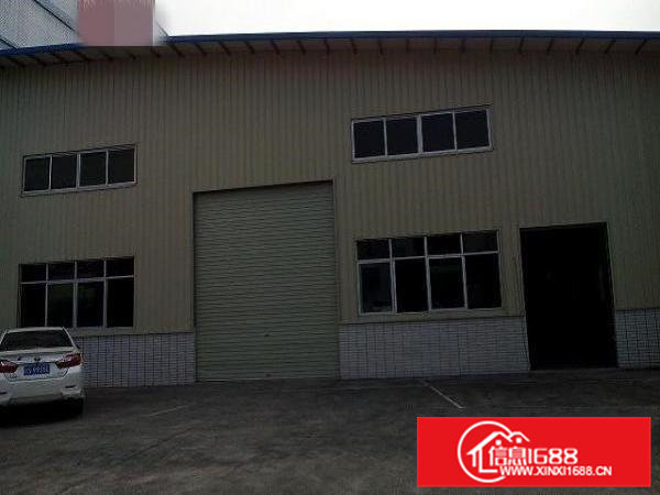 石排镇新出单一层铁皮房700平方出租滴水6米带牛