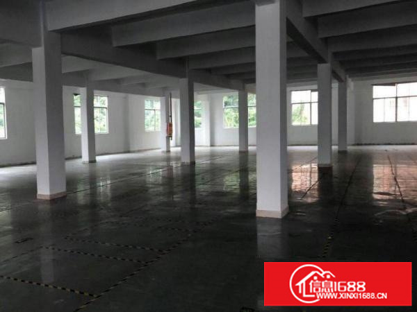 龙岗中心城新出独院面积6000平;大小面积可分