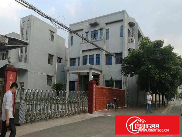 出租横沥独院厂房