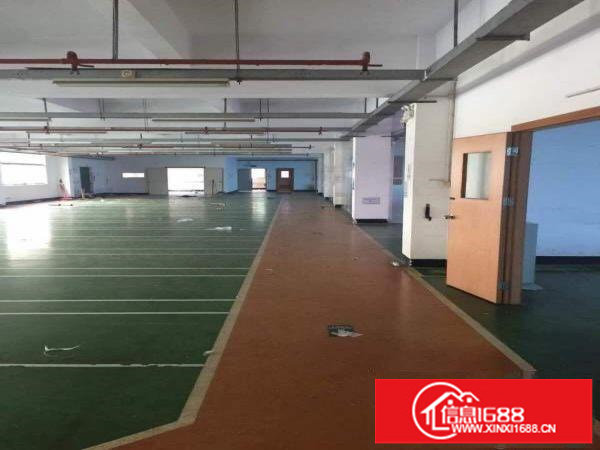 龙岗区平湖平湖辅城坳独院厂房6500m2