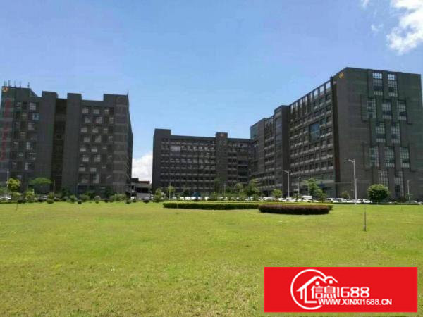 平湖电商产业园20000平米出租可分租急急急