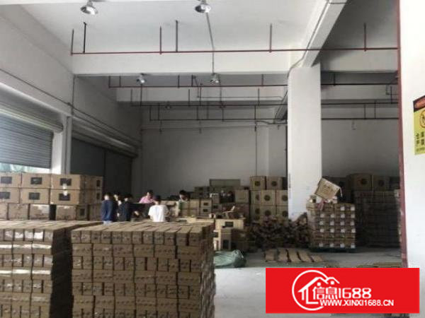 公明东坑一楼厂房600方低价出租，面积实在