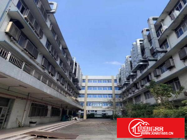 横岗六约10万平米超大工业园招租,大小可以分租