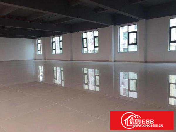 坂田光雅园路300方厂房招租