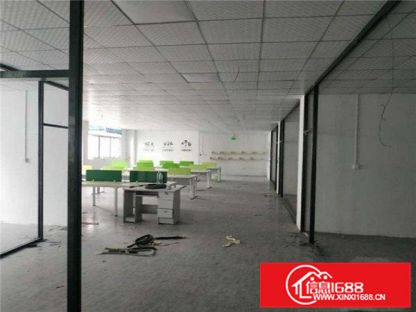 龙岗布吉厂房适合做服装、电商、摄影、教育等