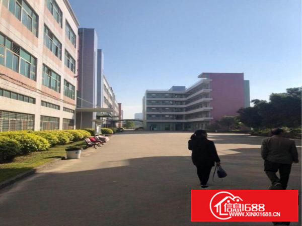 坑梓独门独院8000平招租