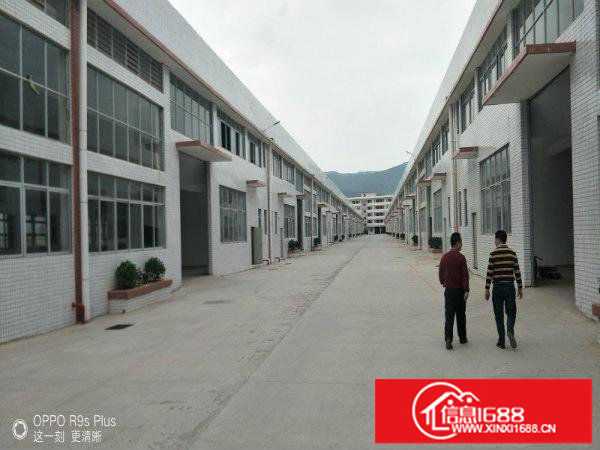 带现成办公室，新建钢构1800平方起出租